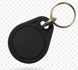 [TAGSeg] Tarjeta Proximidad Llavero TAG 125KHz Gris SEG