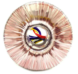 Transformador Toroidal 115v Milord 35v